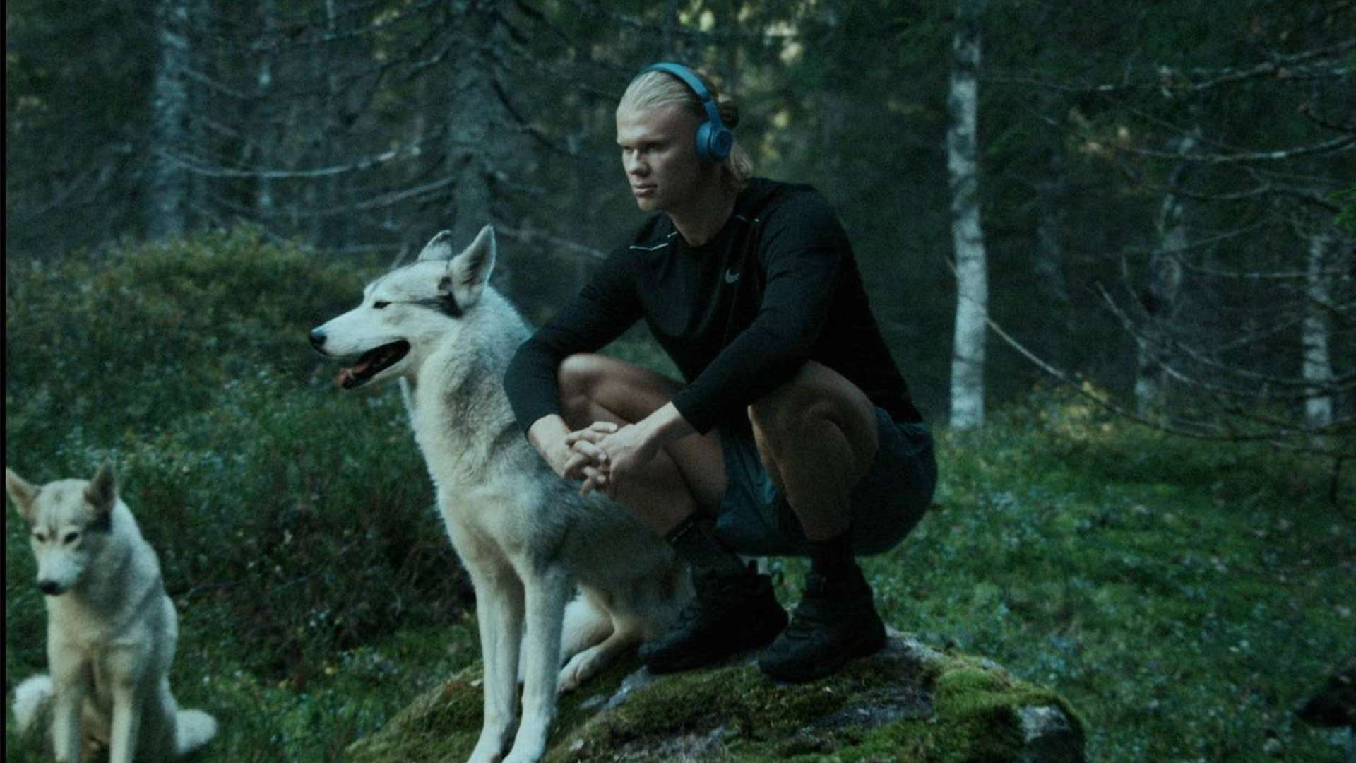 教練的話語 教練的話語